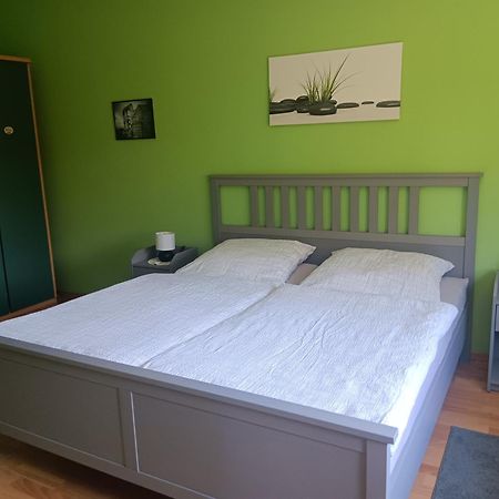 Ferienwohnung Mattheiser Weiher ترير المظهر الخارجي الصورة