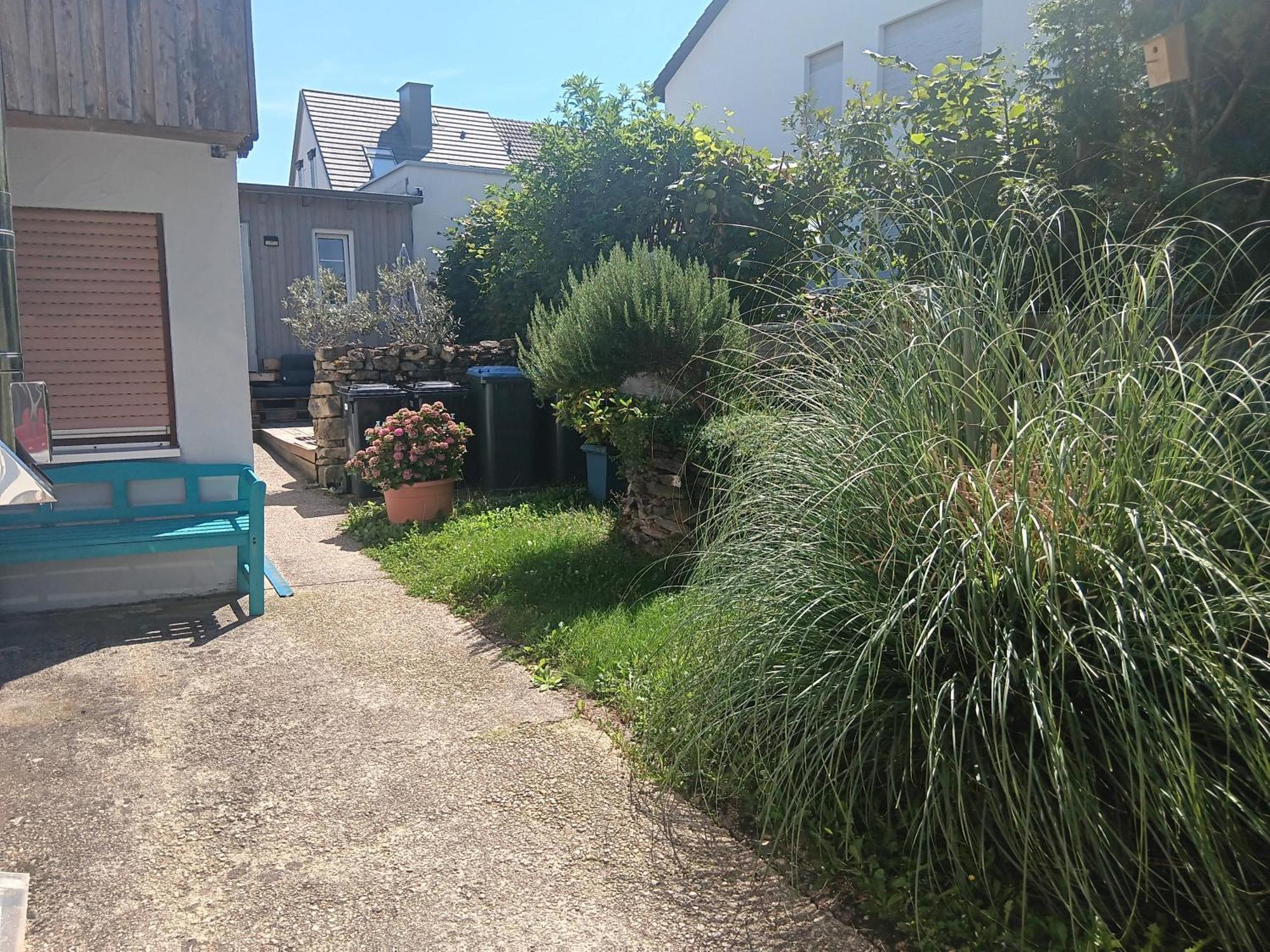 Ferienwohnung Mattheiser Weiher ترير المظهر الخارجي الصورة