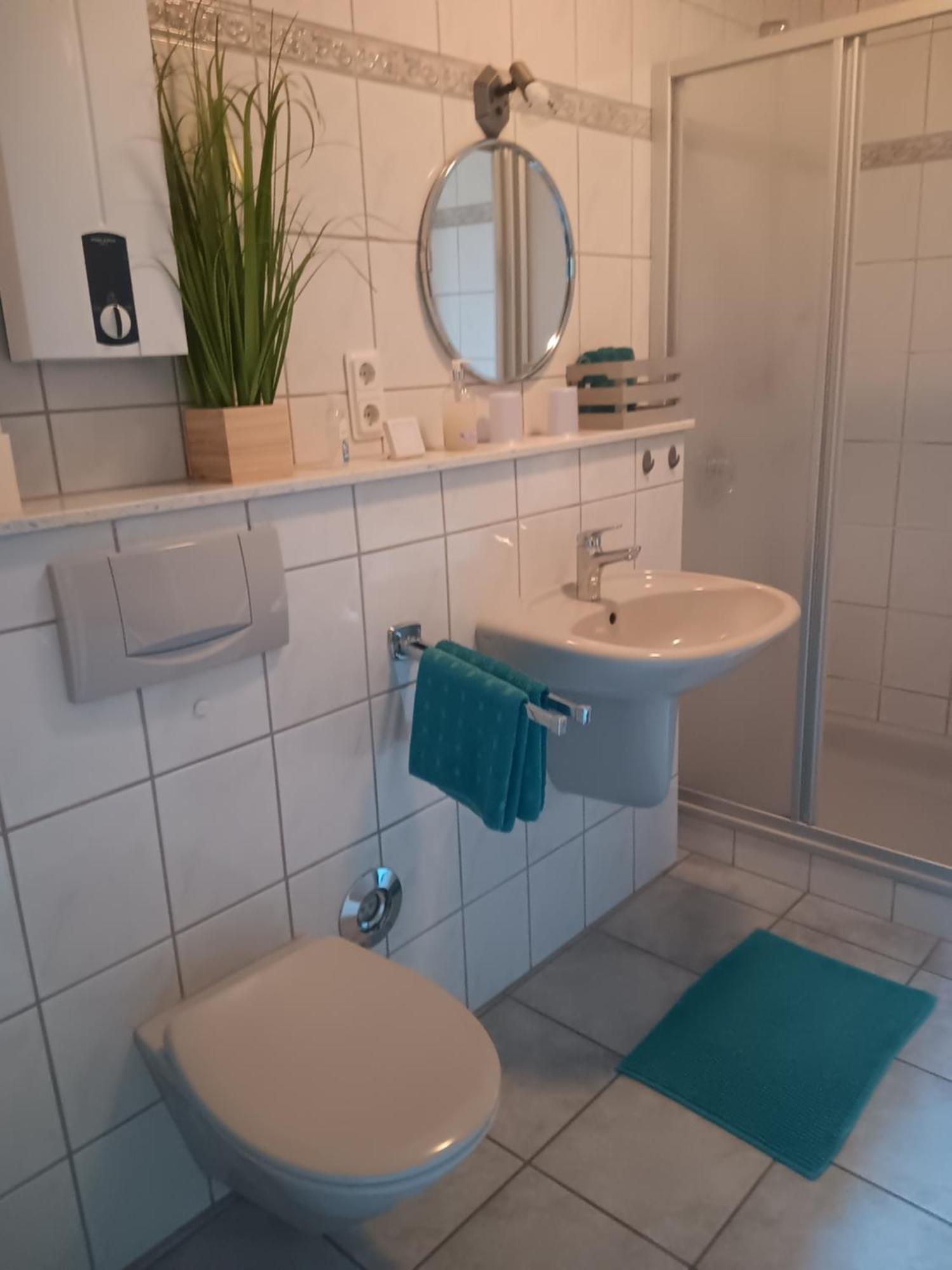 Ferienwohnung Mattheiser Weiher ترير المظهر الخارجي الصورة