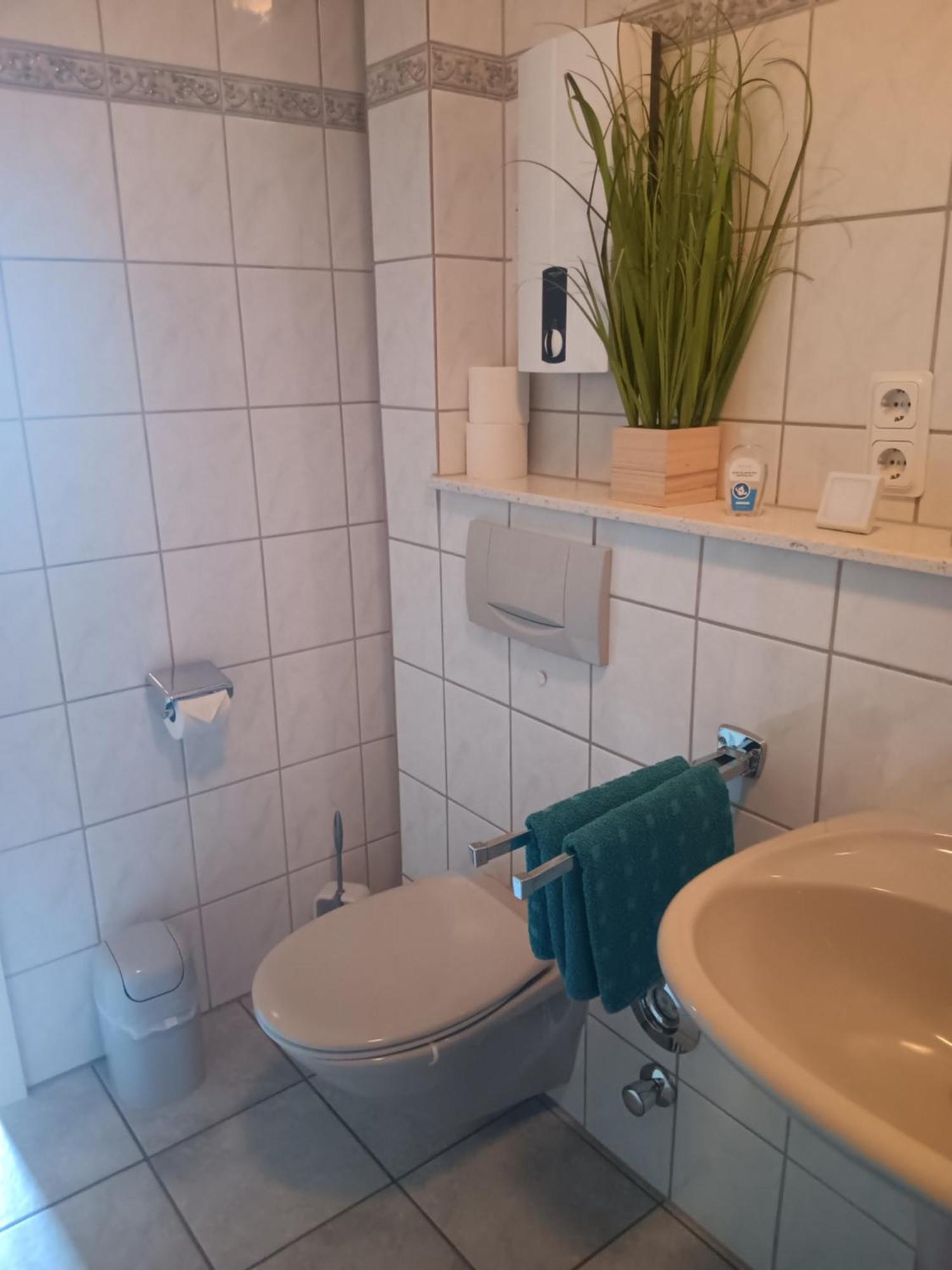 Ferienwohnung Mattheiser Weiher ترير المظهر الخارجي الصورة